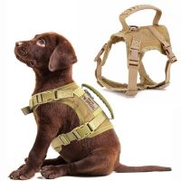 Samll Dog Harness Vest Collar Adjustable Chest Strap Training Walking Safety Harness and Leash Set For Puppy Collars