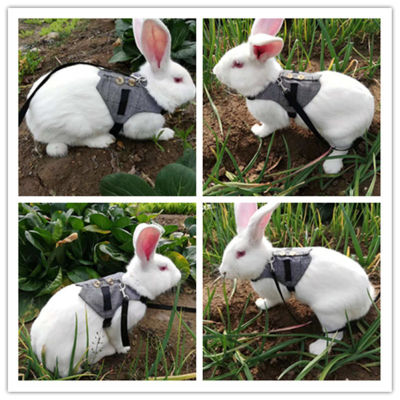 Small Animal Bunny Rope Suit Rabbit Harness Leash Cute Cat Puppy Chest Strap Pet Dog Gentleman Vest with Pulling Rope Accessory