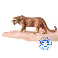 Munich Play - โมเดลสัตว์ Leopard Cheetah เสือดาว เสือชีตาห์ ขนาด 11.00 CM (จากหาดใหญ่)