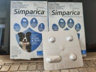Viên nhai trị ve rận Simparica trên chó từ 10 - 20kg 1 viên thumbnail