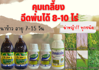 คุมเกลี้ยง ฉีดพ่นได้ 8-10 ไร่ อายุข้าว 8-15 วัน