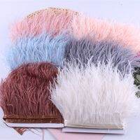 Wholesale Ostrich Feathers 10 15CM Wholesale Ostrich Feathers Ostrich Feather Trim Fringe Ostrich Feather Trim Fringe