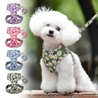 Small Dog Cat Harness Leash Set Nylon Daisy Printed Small Dogs Puppy Harness Vest Leashes for Chihuahua Reflective Pet Vest Collars