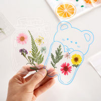 Creative Sky Star Bookmark Self Made Herbarium Transparent Small Bottle Sticker Pack Handmade Stickers For Students Embossed Sticker Bag