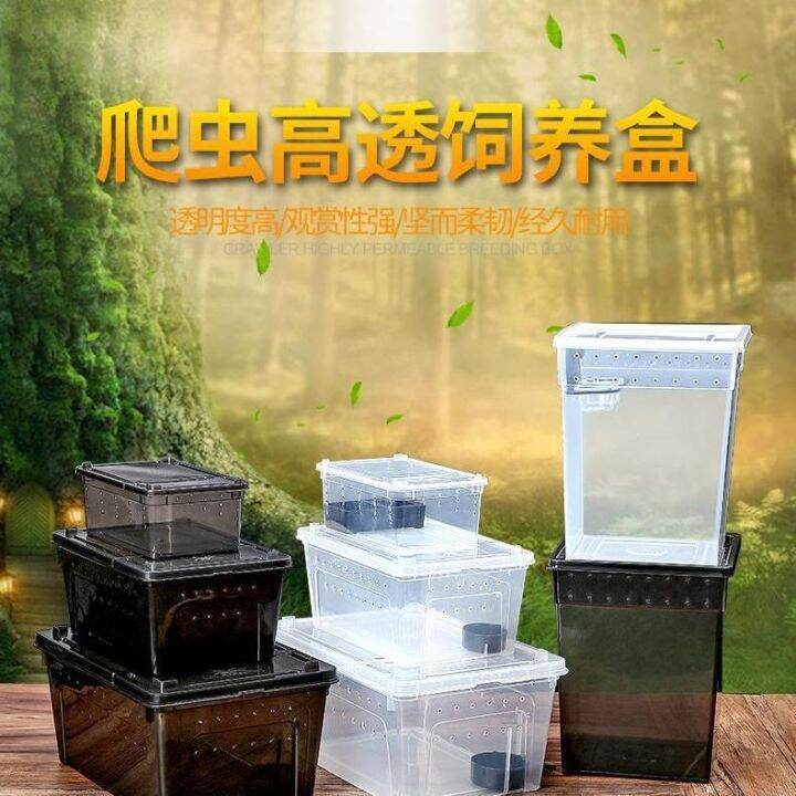 cod-breathable-silkworm-feeding-box-reptile-corn-arboreal-turtle-tank-unicorn-fairy-snail