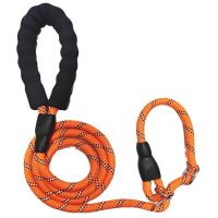 Collar Dog Leash Nylon Pet Lead Leash Adjustable Dog Harness Durable Rope Belt Lightweight Dog Accessories Pet Collar