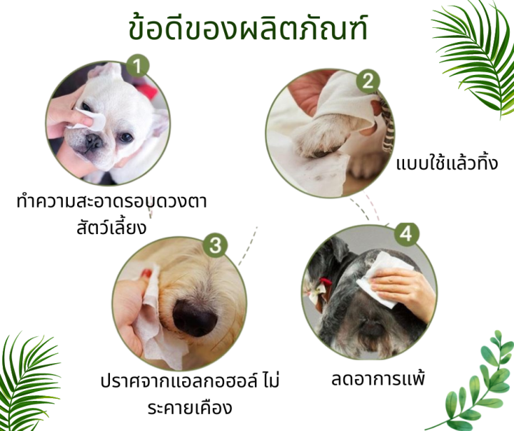 แพ็คคู่-สุดประหยัด-ทิชชู่เปียก-สเปรย์ดับกลิ่น-น้องหมา-น้องแมว