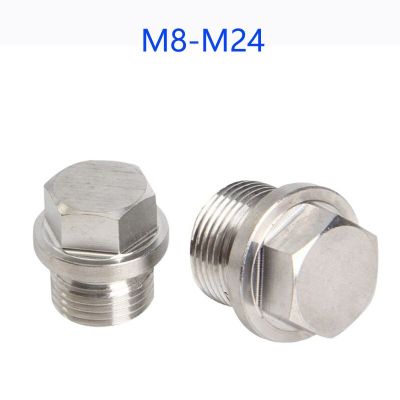 304/316 Stainless Steel Hex End Cap Flange Outer Hexagon Solid Plug Oil Water Pipe Fitting Connector DIN910 Metric Male Thread Pipe Fittings Accessori