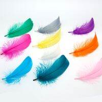 50Pcs/lot Feathers 8-13cm Small Floating Feather Colourful Decoration Plumes