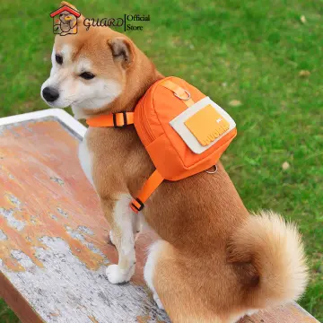 Dog 2024 carrier lazada