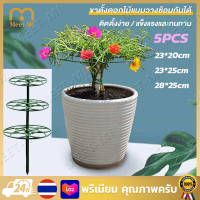 【จัดส่งฟรี】5Pcs ทนทาน ชั้นวางบันได วางซ้อนกันได้ บอนไซ กรอบปีนเขา ปีนเขาชั้นวางเถา ขาตั้งรองรับพืช กรอบกรงพืช