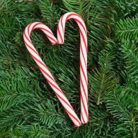 10 Pcs Christmas Tree Candy Cane Pendant Xmas Tree Hanging Ornaments for Christmas Decoration Xmas Party Supplies