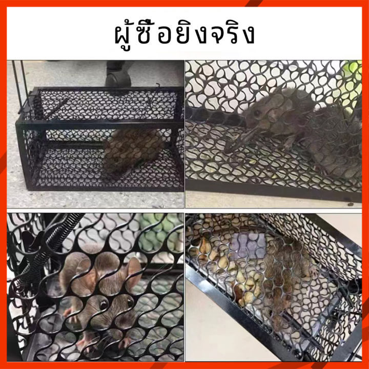 กรงดักหนู-กรงดักหนูสปริง2ตัวโครงหนา-กับดักหนู-ที่ดักหนู-กรงดักหนูแบบมีโครง-สปริงคู่-กรงดักหนูเล็ก-กรงดักหนูนา