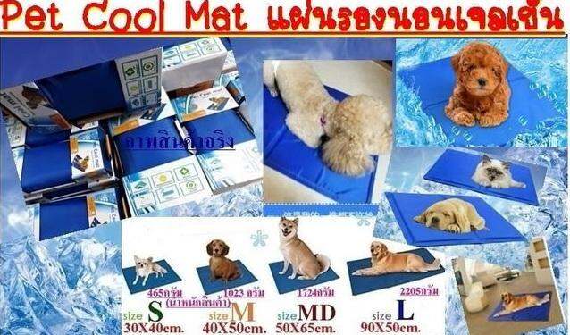 pet-cool-mat-ที่นอนเจลเย็นหมา-แมว-ขนาดl-แผ่นเบาะเจลเย็นรองนอนสำหรับสุนัขตัวใหญ่-ช่วยคลายร้อนสำหรับสุนัข-size-l-90-50cm-ผ้าหุ้มหนากันน้ำซึม-ทำความสะอาดง่าย