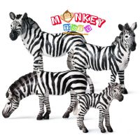 Monkey Toys - โมเดลสัตว์ Zebra ม้าลาย พ่อแม่ลูก ชุด 4 ตัว (จากหาดใหญ่)