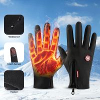 【CW】2pcs Winter Men Women Gloves Touchscreen Cold Waterproof Motorcycle Cycle Gloves Outdoor Sports Running Ski Warm Thermal Gloves