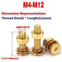 Tembaga kepala baut Silang kepala baut mur paking Spring Washer Set M5-M12