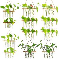 ✢◈ Ins Wall Hanging Glass Planter Plant Propagation Tubes with Wooden Stand Flower Vase Planter Home Garden Office Hydroponic Decor