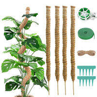 4แพ็ค25 "เสามอส,อัพเกรด Bendable Plant Stakes Moss Pole สำหรับ Monstera พร้อม Twist Ties Plant Ties ป้ายเชือกปอ,Moldproof Sticks สนับสนุนสำหรับปีนเขาพืชการเจริญเติบโตในร่ม