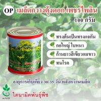 เมล็ดพันธุ์กวางตุ้งดอก เพชรไพลิน ตรา ใบไม้  ขนาด 100 กรัม จำนวน 1 กระป๋อง จาก ไดนามิคพันธุ์พืช Flowering Pakchoy seeds (Phetpa