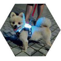 Simon Cc No Pull สายรัดสุนัข Led ขนาดใหญ่