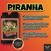 [Ready stcok]⭐⭐⭐⭐Piranha|Advanced Nutrients เชื้อราเพิ่มมวลราก (Organic 100%)⭐⭐⭐⭐⭐⭐ส่งฟรี