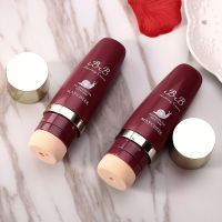 Cushion BB Cream Beauty Makeup Isolation Concealer Moisturizing Foundation Primer Invisible Pores Face Makeup Cream ~