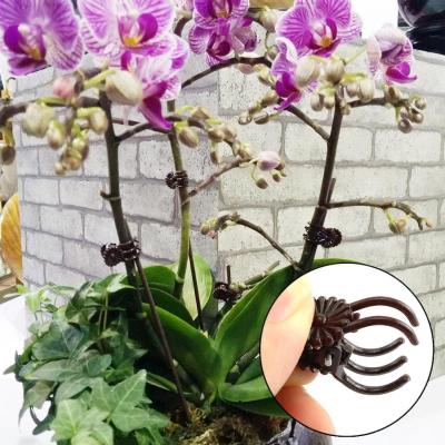 Plastic Plant Support Clips Orchid Stem Clip For Vine Clamping Garden Tool Tied Vegetables Branch Support Bundle Flower S8L3
