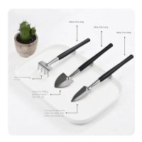 New Product Household Succulent Planting Gardening Loose Soil Tool Mini Stainless Steel Three-Piece Set Potted Plant Flower Shovel