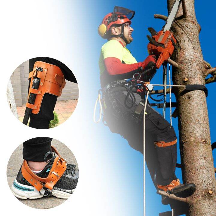 thumbnail image 2 of Tree Climbing Spikes With Adjustable Straps - Outdoor Climbing Gear For Fruit Picking & Jungle Survival 2 of 12