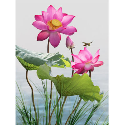30X40ซม.Rhinestone DIY Art ภาพวาดเพชรเจาะเต็มรอบ5D Dragonfly ชุดดอกบัวภาพวาดดอกไม้เพชร Lotus