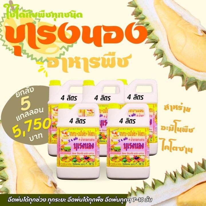 พร้อมส่ง-บุเรงนอง-ยกลัง-5-แกลลอน-ขนาด-4-ลิตร-อะมิโนพืช-สาหร่าย-ไคโตซาน-น้ำตาลทางด่วน-อาหารพืช-ใช้ฉีดพ่นทางใบ-ฉีดพ่น-ได้ทุกพืช-ทุเรียน