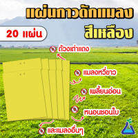 แผ่นกาวดักแมลง (สีเหลือง) ขนาด 20 x 25 เซนติเมตร จำนวน 20 แผ่น Yellow Sticky trap (20x25 cm) qty 20 pieces