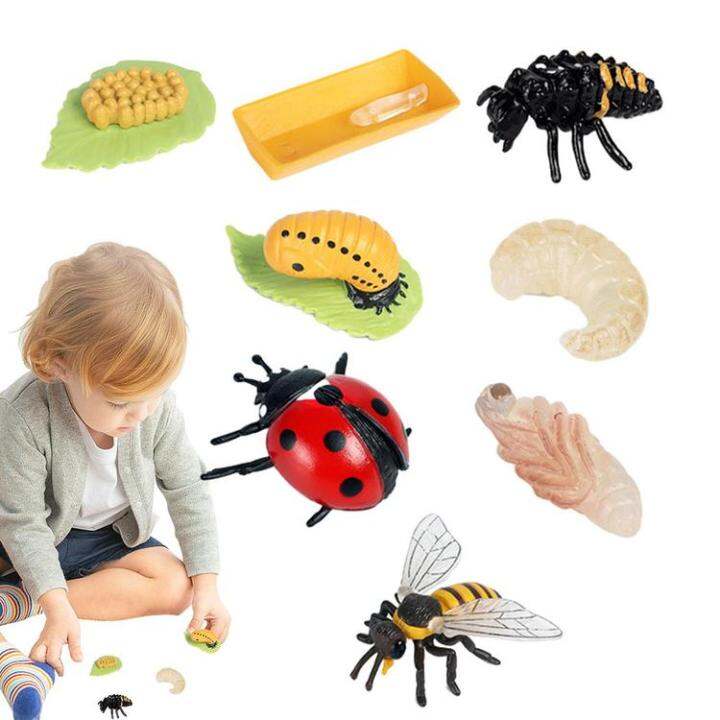 animal-life-cycle-figurines-8pcs-ladybug-and-bee-life-cycle-kit-bee-toy-farm-animal-growth-model-figure-biological-model-science-toys-for-kids-3-5-preschool-learning-toys-noble