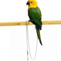 【cw】 Foot Anklet Chain Tiger Starling Cockatiel Buckle 【hot】