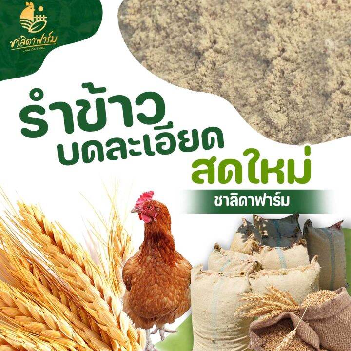 รำข้าว-ขนาด10kg-รำข้าวหอมมะลิ-บด-ละเอียด-สด-ใหม่-รำ-รำข้าว-รำตกปลา-รำเลี้ยงสัตว์-รำละเอียด