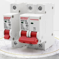 DZ47-63 AC 230V-400V MCB 1P-4P 6A-63A Mini Circuit Breaker Overload Short Circuit Protector ในครัวเรือน Air Switch Din Rail-Pujeu