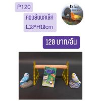 narak..New Special Price!!.. คอนลับเล็บ นกเล็ก คอนอะครีลิก ค สีคลาสิก้า P120​(ถ้าไม่ได้ระบุ ราคาต่อ1ชิ้นนะค๊ะ) ( สอบถามรายละเอียดทักแชทนะคะ )