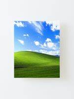 ห้องนั่งเล่น Windows XP,ห้องนอน,จิตรกรรมตกแต่งห้องครัว,ลายพิมพ์ภาพวาดผ้าใบ,ของขวัญวันวาเลนไทน์,ปีของขวัญลายเสือ1ชิ้นกรอบภายในหรือไร้กรอบ