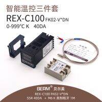 BERM REX-C100 SSR DN long section solid state temperature sensing line thermostat 3-piece set straw
