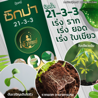 ปุ๋ยน้ำ 21-3-3 สูตรพรีเมี่ยม ช่วยให้พืชเจริญเติบโตไว เร่งราก เร่งต้น เร่งใบ ช่วยฟื้นฟูต้นหลังเก็บเกี่ยว เร่งทำใบชุดใหม่