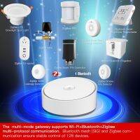 Tuya ตาข่ายประตูอัจฉริยะบลูทูธ Wifi + รีโมทคอนโทรล + Zigbee