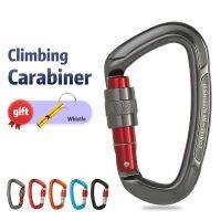 Outdoor Climbing 25kN Lock D-shape Safety Buckle Keys Tools