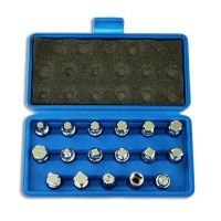 3/8DR ชุดลูกบ๊อกซ์ถ่ายน้ำมันหล่อลื่น 17 ชิ้น  3/8Dr Oil Drain Plug Socket 17Pcs Set