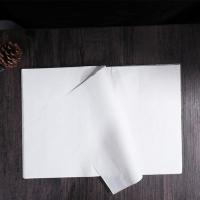 120pcs Writing Rice Paper Painting Rice Paper Chinese Calligraphy Paper for Office Home