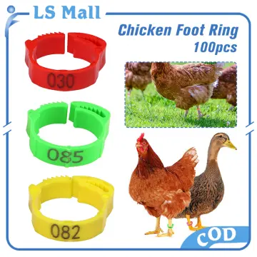 Chicken Rings Foot Adjustable, Poultry Rings