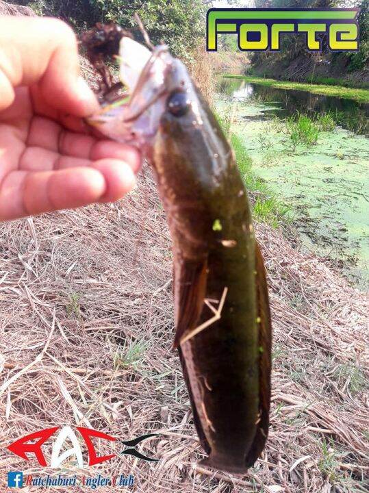 frog-jump-ชุดเหยื่อกบ-มีให้เลือกหลายขนาดในเซท-ยางเหนียวพิเศษ-เบ็ดแข็งตกปลาใหญ่ได้-มีกิ๊ฟแถมในกล่อง