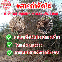 ถูกที่สุด ผงกำจัดกอไผ่  สารฆ่าไผ่ กำจัดไผ่ได้ทุกสายพันธุ์ รับประกันคุณภาพ ไม่ทำให้ดินเสีย ไม่เป็นอันตรายต่อคนและสัตว์เลี้ยง 1 kg