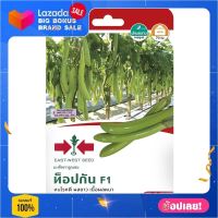 เมล็ดพันธุ์มะเขือยาวสีเขียว F1 ท็อปกัน เมล็ดพันธุ์ผัก ผัก ราคาถูก พร้อมปลูก Seed farm garden