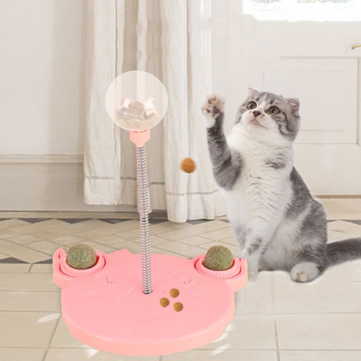 Cat Ball Track with Interactive Cat Feeder Toys Leakage Food Ball